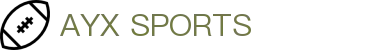 爱游戏 (AYX)唯一中文官方网站 - AYX SPORTS